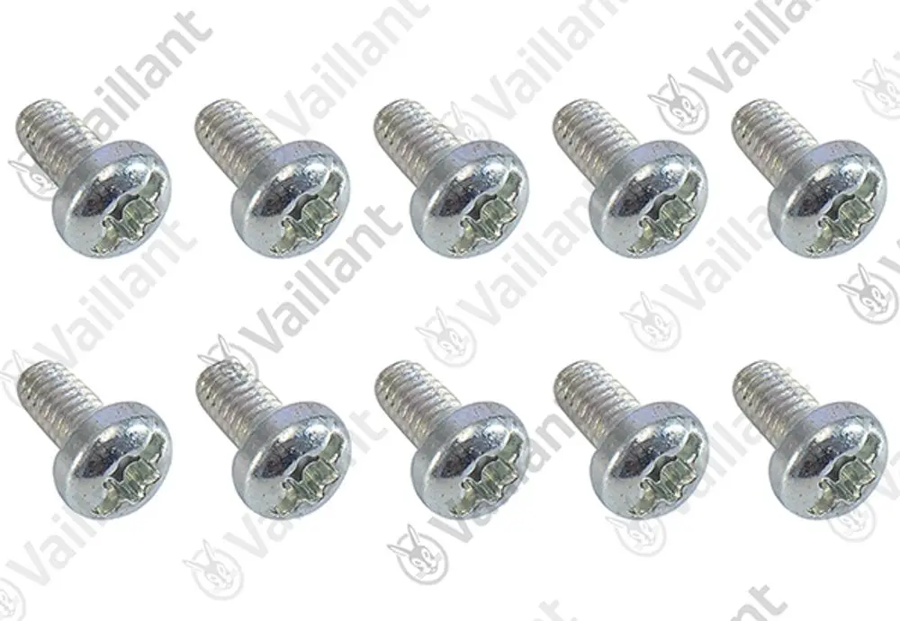 10 Schrauben der Marke Vaillant, mit runden Köpfen und Schlitzantrieb, in einem einzelnen Bild dargestellt.